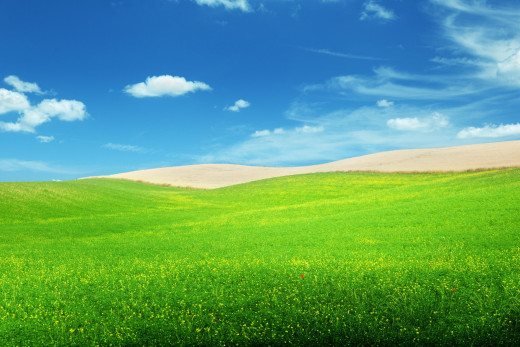 814545 (a): :2100x1400